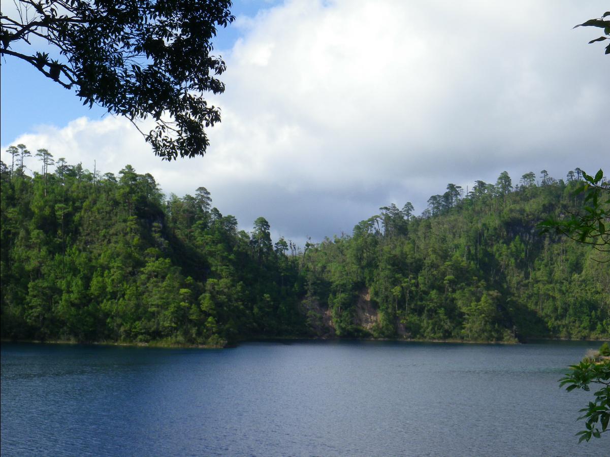 Lake Area19